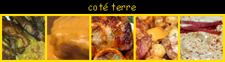 lien recette avec citron ou jus de citron dans un plat cot terre